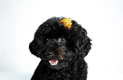 DON'T NOD发布广受期待的动作解谜攀岩游戏《退潮Jusant》